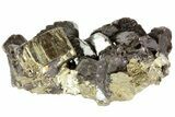 Sphalerite and Pyrite Crystal Association - Peru #72602-2